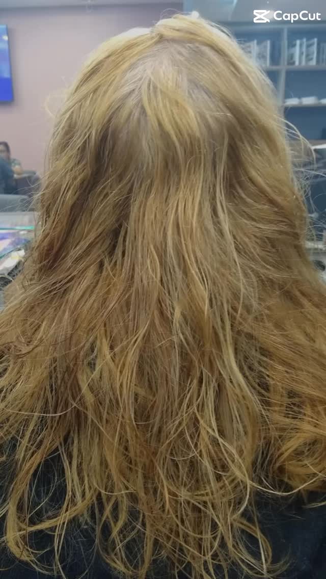 Abrir publicação do Bruno Capelli no Instagram